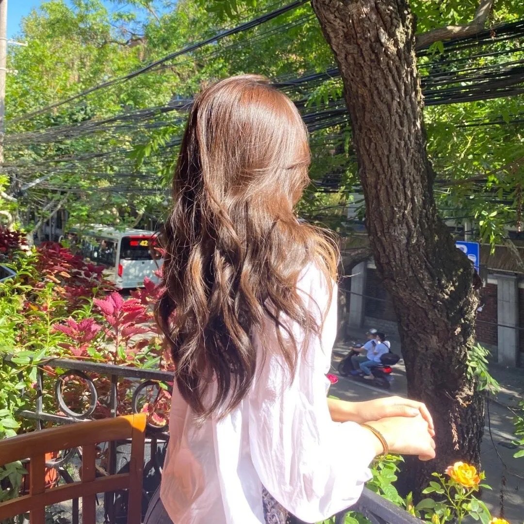 猪猪侠·一只老猪的逆袭